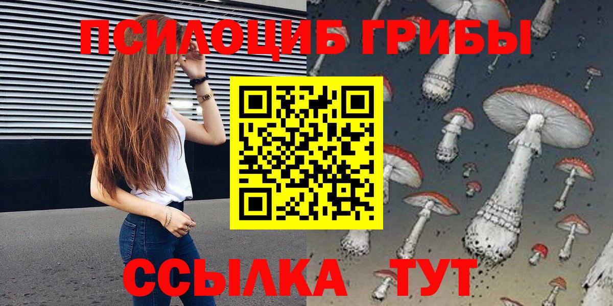 Галлюциногенные грибы Psilocybine cubensis Чернушка