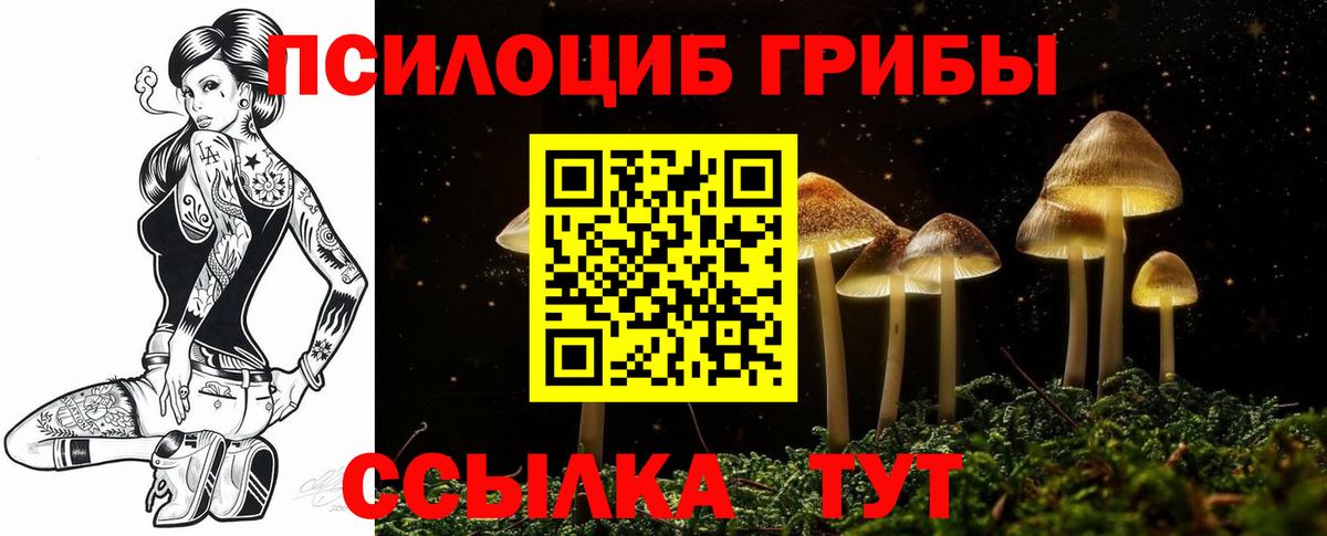 Чернушка  Псилоцибиновые грибы GOLDEN TEACHER  Псилоцибиновые грибы мицелий  Вход с VPN 